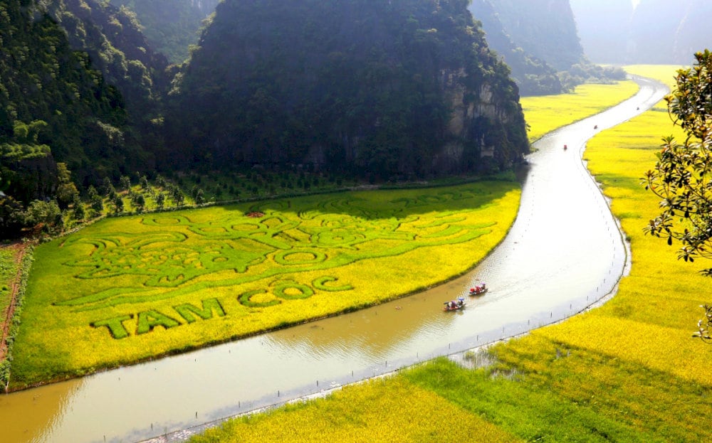 Autumn paints Ninh Binh in golden tones and sunlit rice paddies stretching to the horizon